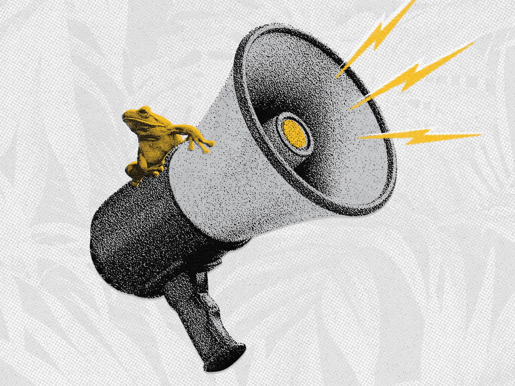 Image representing green marketing showing a megaphone with a little frog.